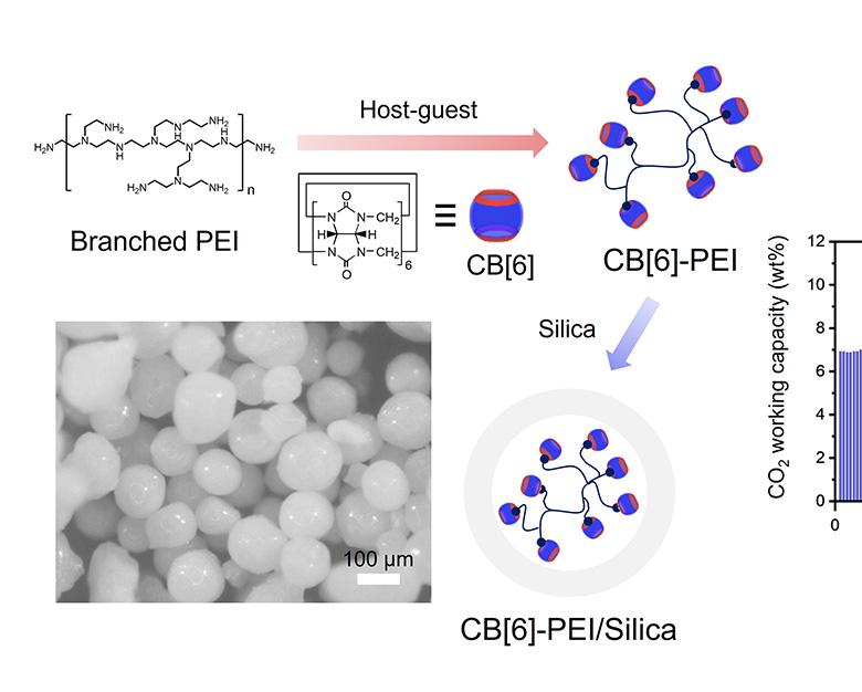 논문 관련 내용